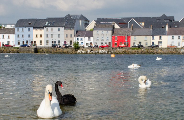 Claddagh
