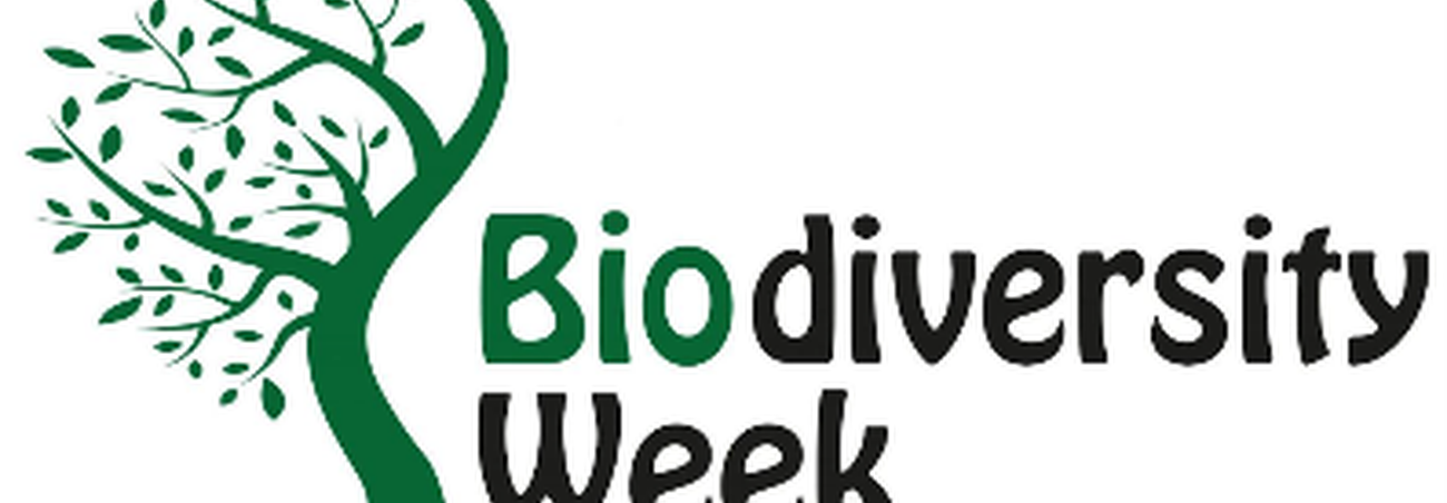 National Biodiversity Week (Galway) 2026