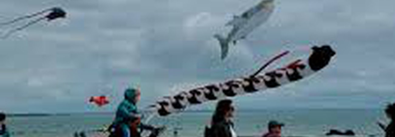Salthill Kite Festival