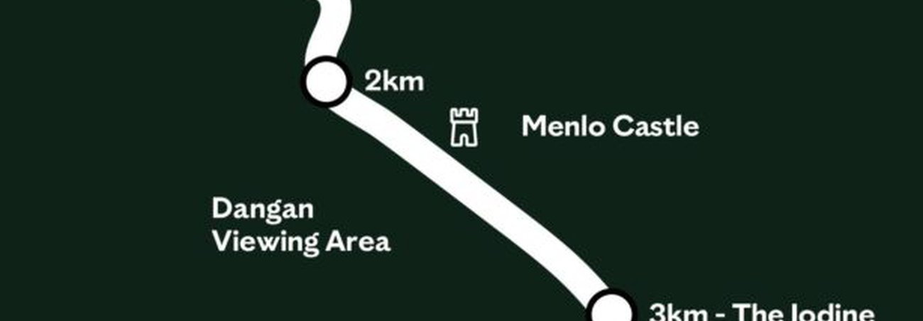 Watch boat racing from the banks of the Corrib