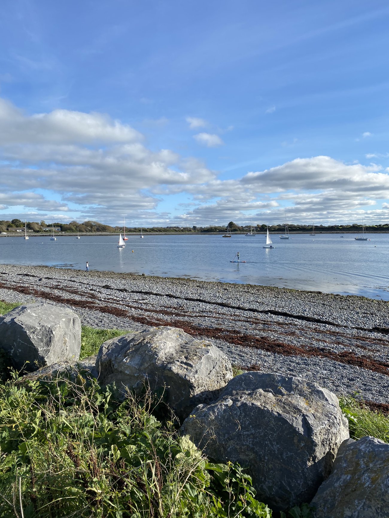 Rinville Park, Oranmore